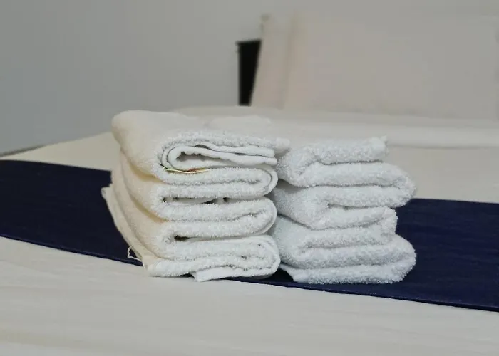 Pet friendly Downtown Comfort Calangute