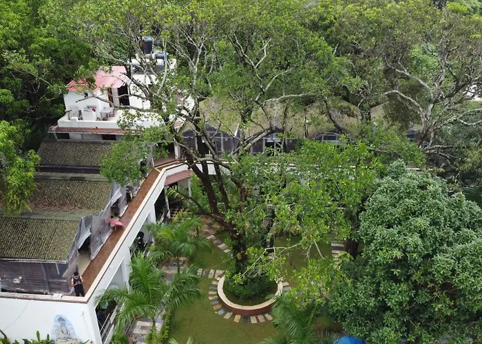 Arambol Dog Friendly Lodging and Hotels