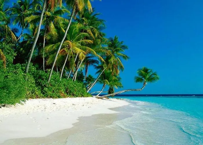Altrude Villa Rooms Near Beach Candolim