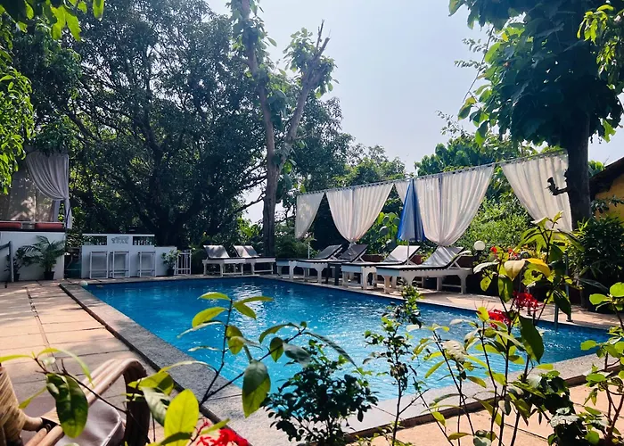 Pet friendly Aaria Hills Hotel Arambol