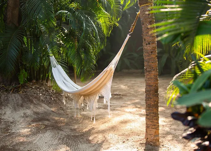 Palm Forest Palolem