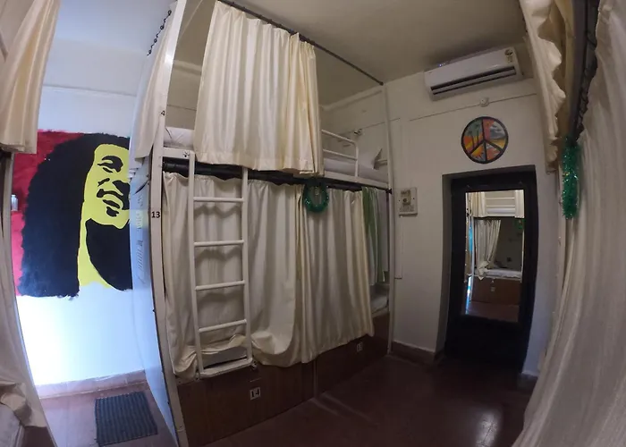 Pet friendly Happy Panda Hostel Arambol Goa