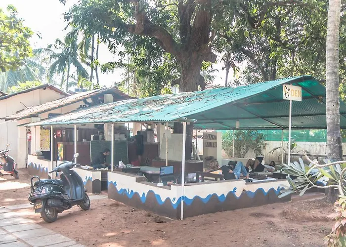 Pet friendly Backpacker Panda Goa Hostel Calangute