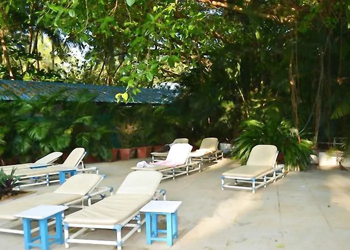 Little Italy Hotel Calangute