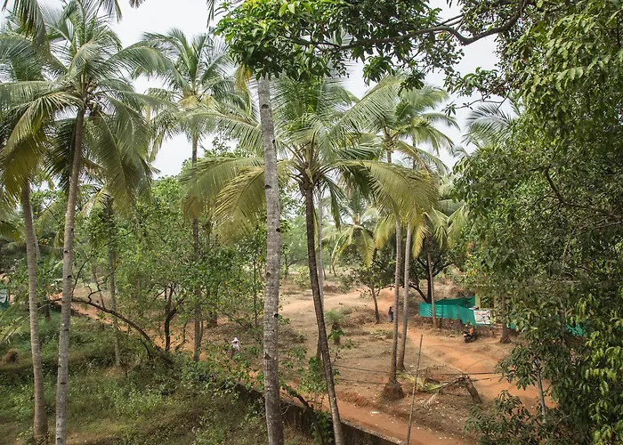 Pet friendly Hotel Arambol Arbour