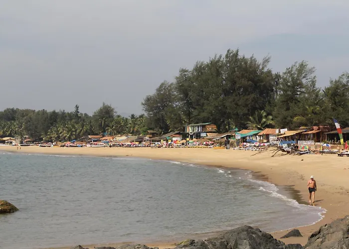 Palm Trees Ayurvedic Heritage Patnem Beach